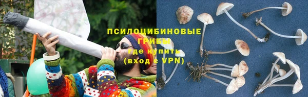 a pvp Алексеевка