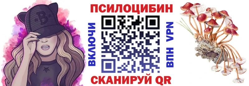 Псилоцибиновые грибы мицелий Александровское
